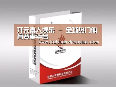 项目名称十三